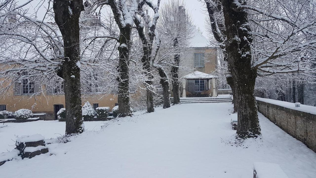 Bed and Breakfast Chateau De Mauvilly Экстерьер фото